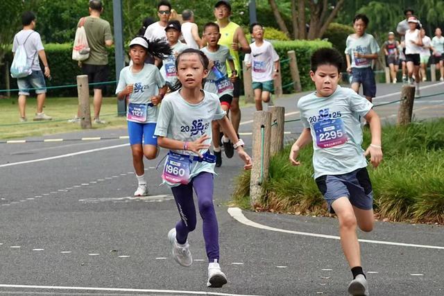 X系列赛 X系列赛