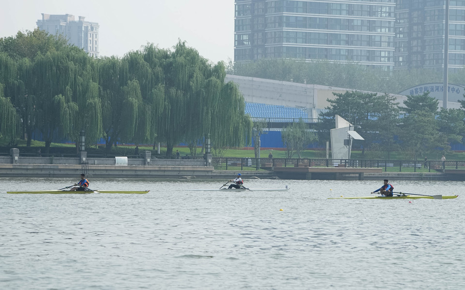 OwhN, 项目细分皮