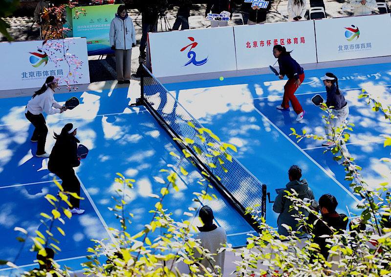 赛程安排紧 赛程安排紧